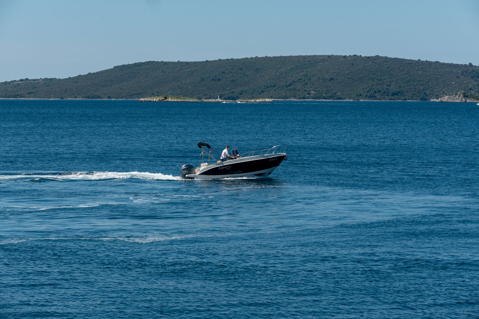 Palm boat rent